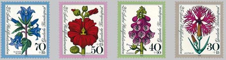 1974 - Blumen