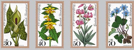 1978 - Blumen - Waldblumen