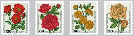 1982 - Blumen - Gartenrosen