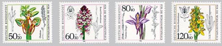 1984 - Blumen - Orchideen